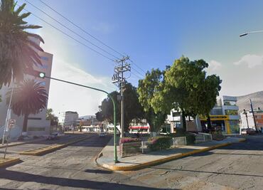 Gusano descortezador, invadió dos áreas verdes más de Pachuca