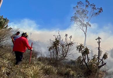 En 13 incendios pierde Hidalgo 39 hectáreas forestales durante este año