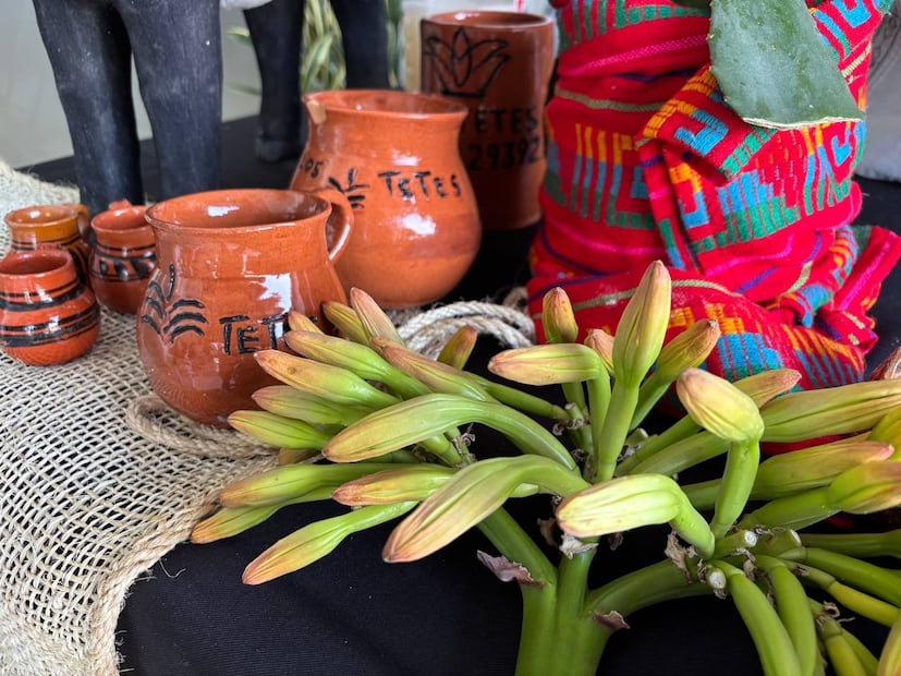 Tlaxcoapan se prepara para una fiesta de sabor, arte y tradición con el Festival del Asado y el Pulque | Foto: Turismo de Hidalgo