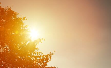Pese a que concluyo la segunda ola de calor, continúan las altas temperaturas