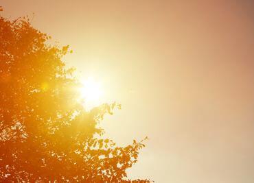 Pese a que concluyo la segunda ola de calor, continúan las altas temperaturas