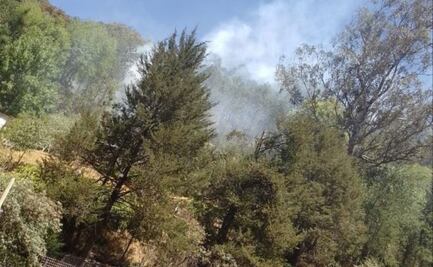 Se controló el incendio en el Parque Nacional El Chico tras 8 horas de labor