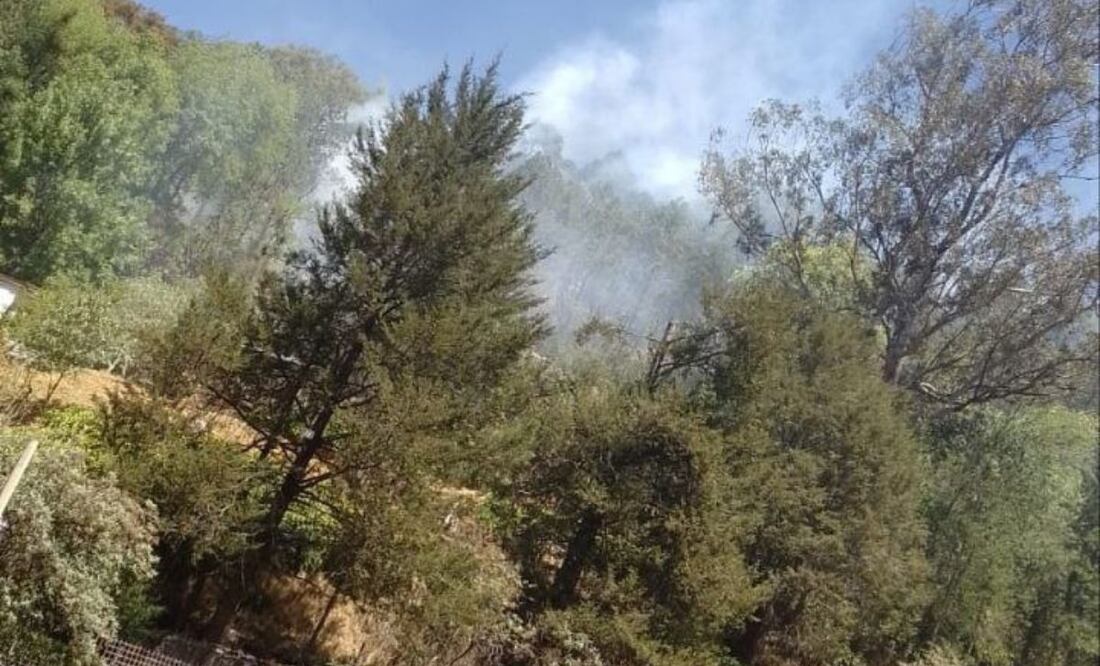 60 kilómetros por hora fueron las rachas de viento que generaron se extendiera el fuego rápidamente | Foto: Especial