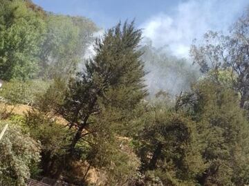 Se controló el incendio en el Parque Nacional El Chico tras 8 horas de labor