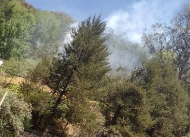 Se controló el incendio en el Parque Nacional El Chico tras 8 horas de labor
