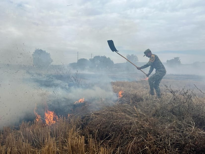 Militares combaten incendio en Mineral de la Reforma