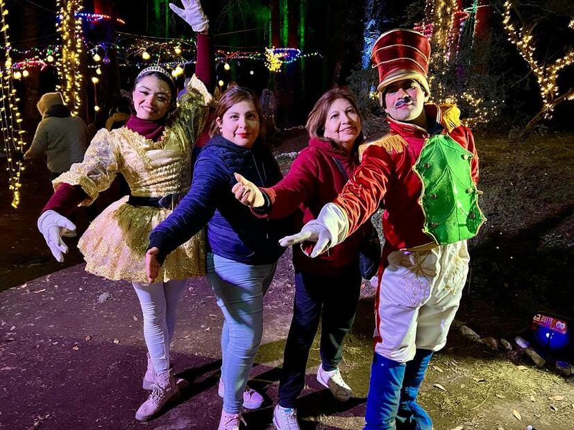El evento Bosque Iluminado podría regresar en 2025 I Foto: Redes Bosque iluminado
