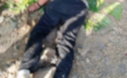 Muere estudiante del Cobaeh Tlanchinol al caer a un barranco