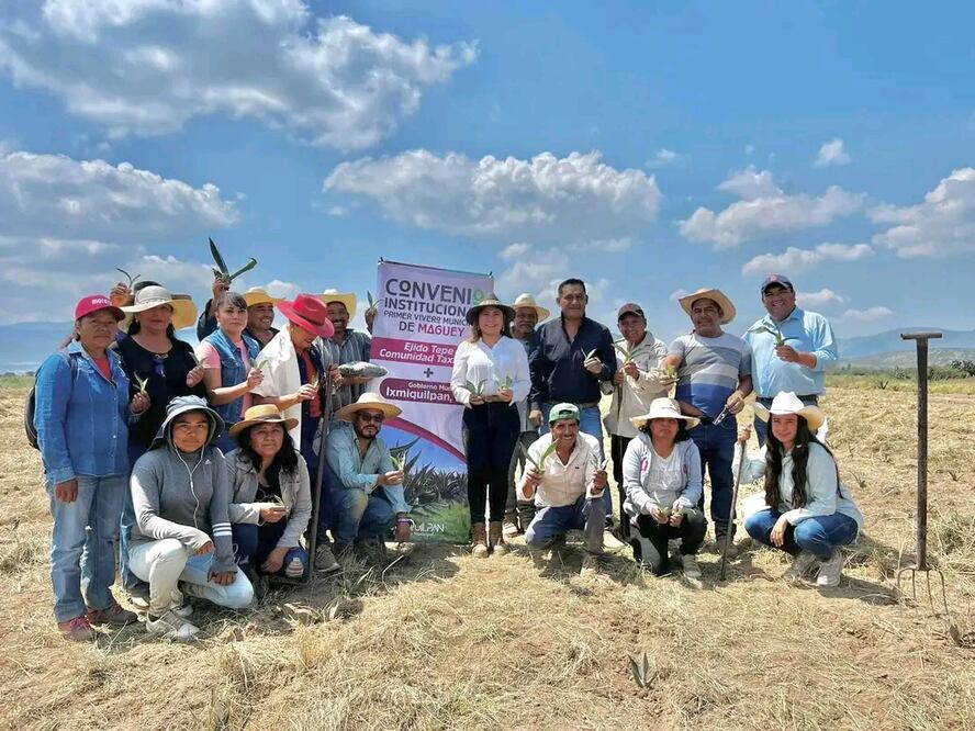 Arranca siembra de maguey...
Foto: redes sociales Araceli Beltrán