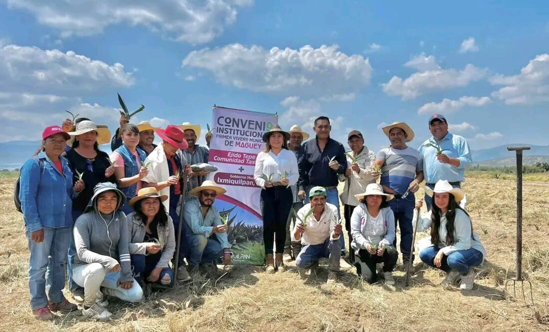 Arranca siembra de maguey...
Foto: redes sociales Araceli Beltrán