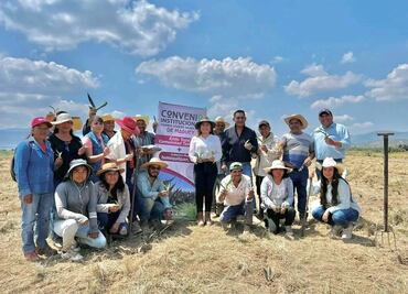 Arranca siembra de magueyes en el primer vivero en Ixmiquilpan