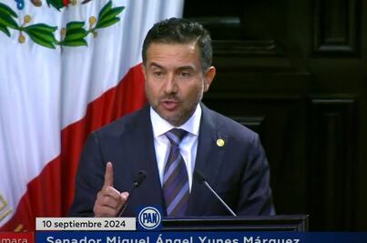Yunes Márquez anuncia su voto a favor de la reforma judicial; da vía libre a Morena y aliados para aprobarla