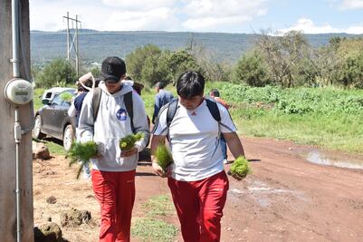 Estudiantes y autoridades plantan 400 árboles en Santiago Tulantepec