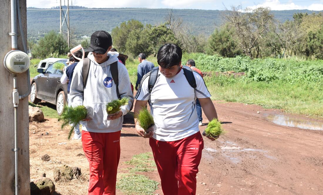 El municipio recibió tres mil pinos de tres especies distintas para reforestar varias zonas, pero en esta primera jornada solo se plantaron 400 | Facebook: Santiago Tulantepec 2024 - 2027 / DIF Municipal