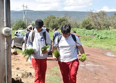 Estudiantes y autoridades plantan 400 árboles en Santiago Tulantepec