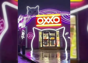"Michi-Oxxo", la sucursal mexicana que es viral en TikTok