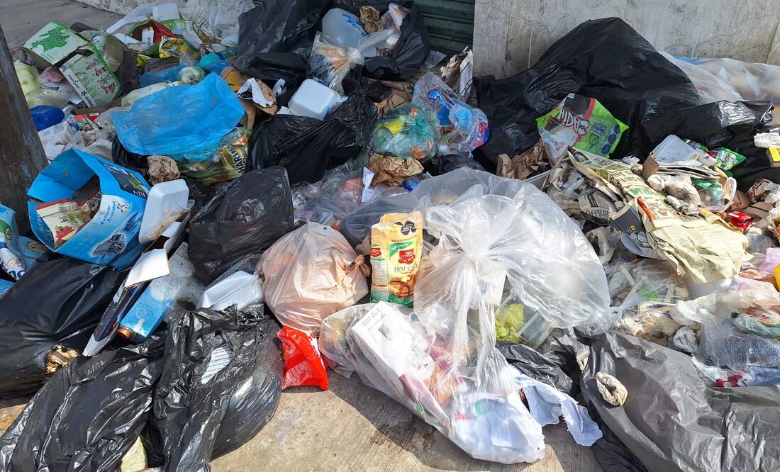 Foto: Cinthya Carbajal