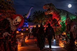 Dinoparque tendrá noches de terror en El Rehilete por Halloween