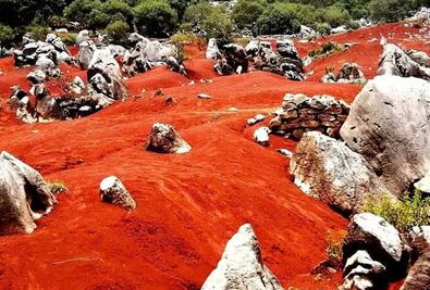 Las Dunas de Pacula buscan premio “Lo Mejor de México”