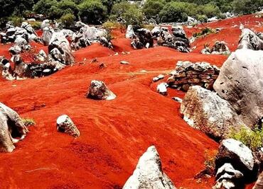 Las Dunas de Pacula buscan premio “Lo Mejor de México”