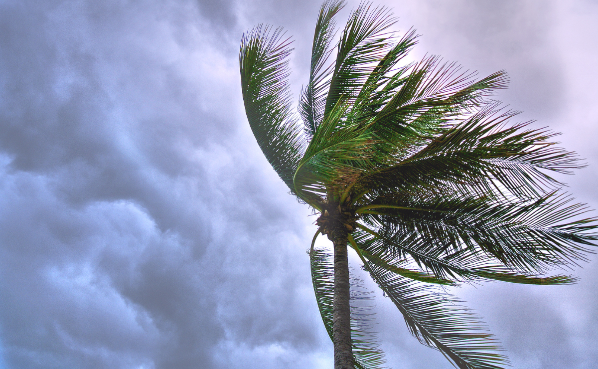 Tormenta Barry deja afectaciones en carreteras de la Huasteca; piden recursos para reparaciones