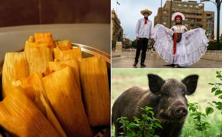 San Lorenzo Itztacoyotla se prepara para celebrar su fiesta patronal con música, tradición y naturaleza