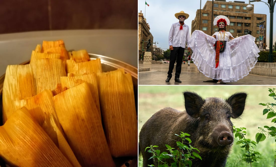 ¡La fiesta patronal de San Lorenzo Itztacoyotla ya está cerca! Fotos: Pexels y Pixabay