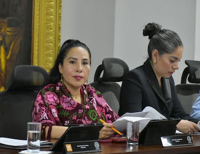 Presentan iniciativa para crear el Registro Estatal de Abuso y Negligencia Infantil