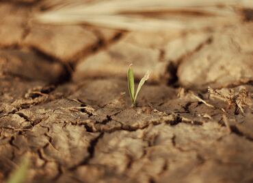 Cuatro municipios de Hidalgo inician el año en condición de sequedad