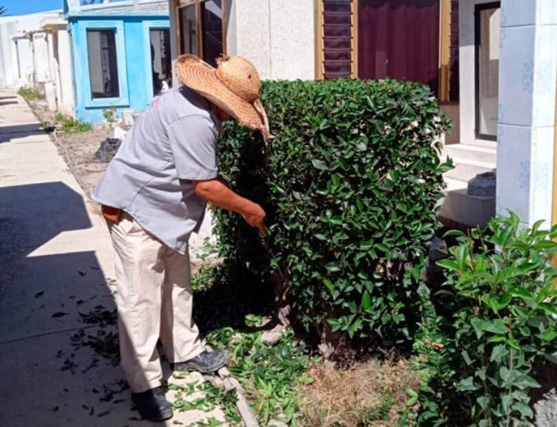 Más de 8 mil personas se esperan en el panteón San Miguel de Tulancingo Foto: Especial