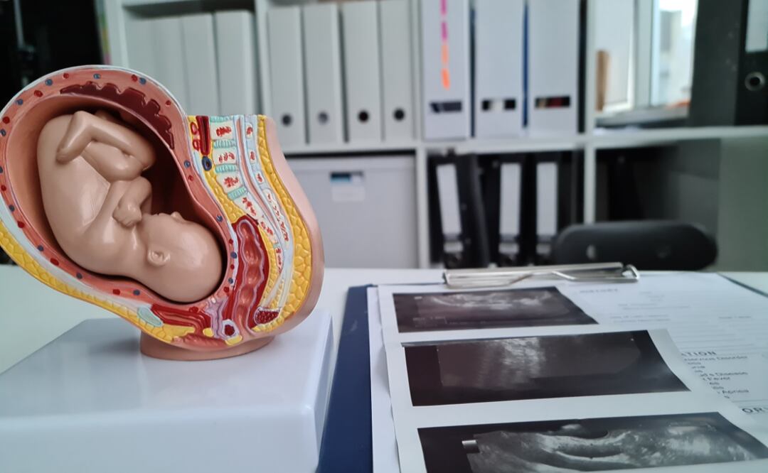 En Hidalgo, diputados aprobaron la despenalización del aborto el 30 de junio de 2021 | Foto: Getty Images