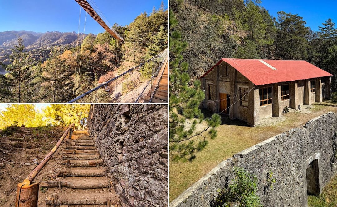 Puentes colgantes, senderos extremos y bosque infinito | Facebook: Desarrollo Ecoturístico Ejido El Puente