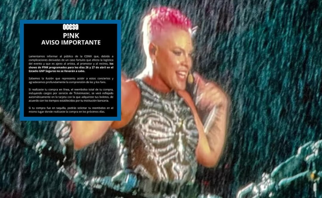 Pink se presentaría en abril próximo en la capital mexicana. Foto: Instagram Pink.