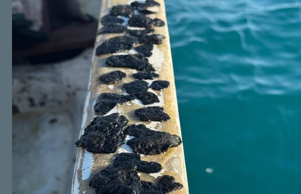 Foto: Tamaulipas SDR