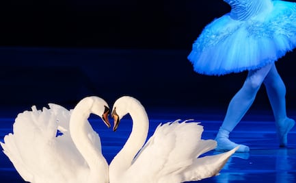 El Ballet de Kiev deslumbrará a Pachuca con El Lago de los Cisnes