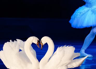 El Ballet de Kiev deslumbrará a Pachuca con El Lago de los Cisnes