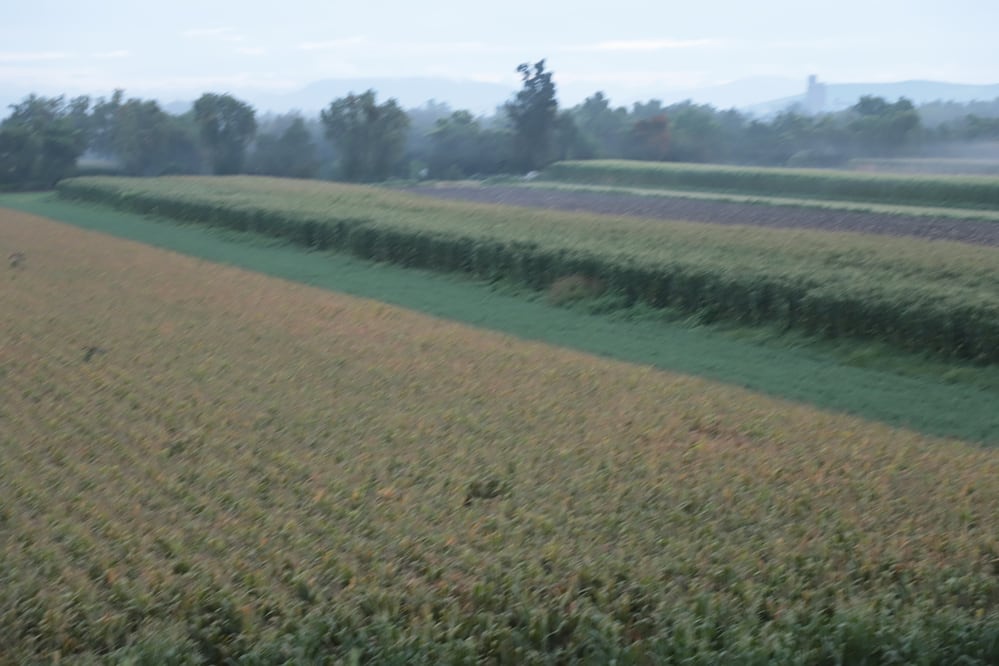 Hidalgo registró 498 mil 45 hectáreas de superficie agrícola durante 2025, de las cuales, más de 52 mil hectáreas se encontraban en descanso, de acuerdo con los resultados de la Encuesta Nacional Agropecuaria (ENA) del Instituto Nacional de Estadística y Geografía (Inegi) I Foto: Luis Soriano