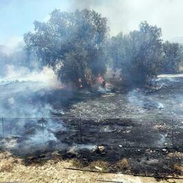 Inicia Semana Santa con incendios forestales activos en Hidalgo 