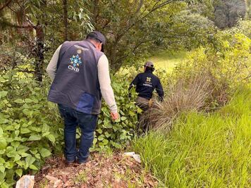 Mantienen operativo para localizar a trabajadores de la CFE desaparecidos entre Hidalgo y Puebla
