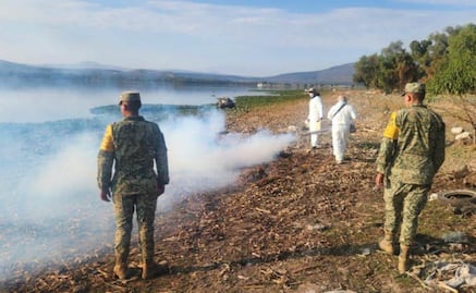 Realizan operativo en la presa Endho para mitigar la la proliferación de mosquitos del género Culex