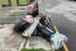 Planta de basura en MR necesitaría mínimo 600 toneladas de residuos
