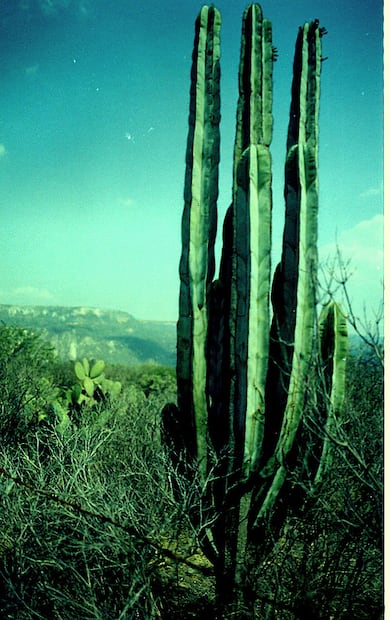 Un paisaje que también se conserva | Foto: Flickr