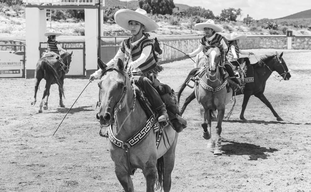 Una montura también guarda historias | Foto: Pexels