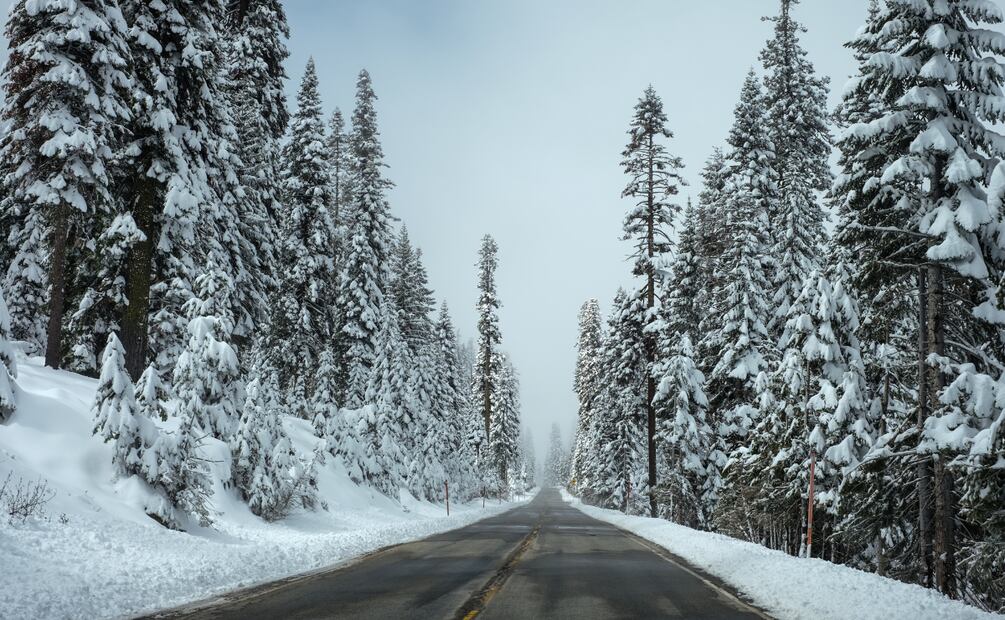 Temporada invernal: ¿Conoce cuándo se acaba el frío? | Foto: Pexels