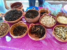 Este fin de semana será la 45 de la muestra gastronómica de Santiago de Anaya 