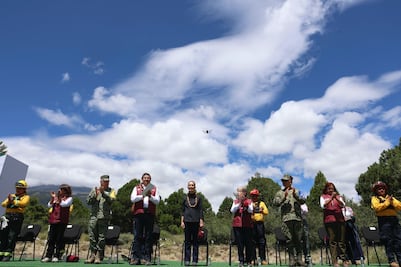 Sheinbaum inicia Jornada Nacional de Reforestación con meta de 6.6 millones de plantas