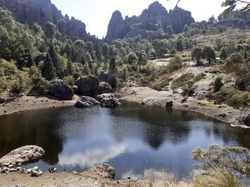 Diego Mateo, un tesoro ecoturístico en Mineral del Chico