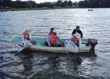 Entregan 648 mil crías de peces en apoyo a acuicultores de Acaxochitlán