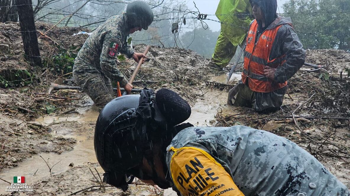 El ejercito se encuentra realizando tareas de ayuda a la población I Foto: Especial