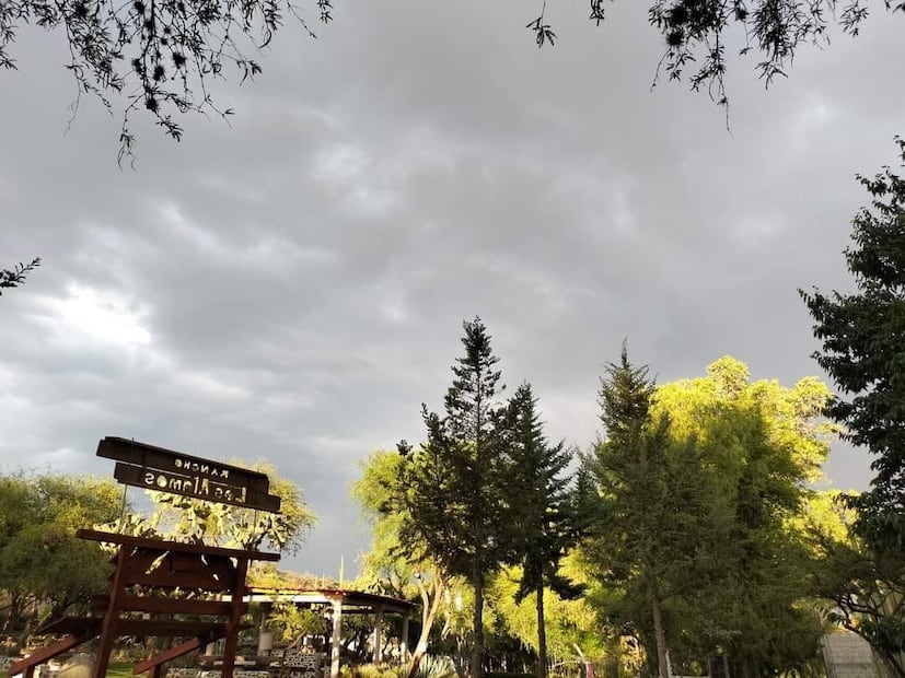 Magia nocturna en Tula: inicia la temporada de luciérnagas en Los Álamos | Facebook: Rancho "Los Álamos"